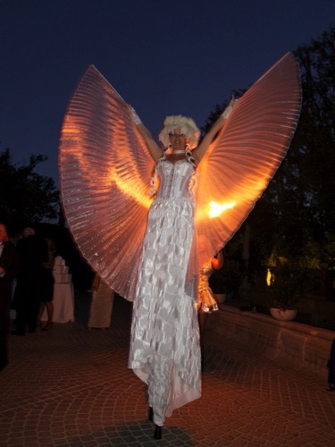 White Fire Wings White Fire Wings